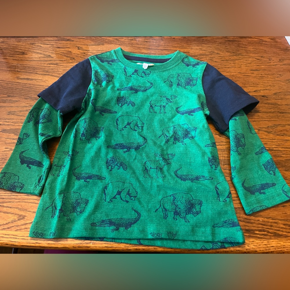 Animal Print Green and Blue Long Sleeve Tee